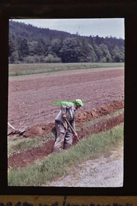 Dia Straßenarbeiter bei Lückendorf Sachsen - Picture 1 of 1