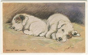 TERRIER, TWO OF THE FAMILY, MAC, LUCY DAWSON - Dog Art Postcard - Picture 1 of 2