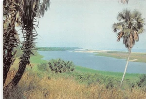 KONGO SCHWARZE SPITZE - Bild 1 von 2