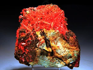 4.5" Red Crocoite Crystals, Adelaide, Tasmania, Australia! CC514 - Picture 1 of 4