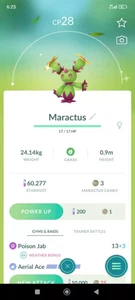 ✨Pokémon Shiny Maractus t✨ P T C - Descripción - Imagen 1 de 1