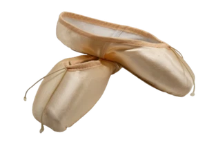 Freed Pointe Shoes - Studios / Studios 2 / Studios Pro / Classic Pro 90 Hard - Picture 1 of 9