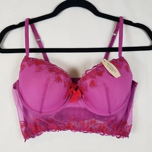 Pout by Victoria Secret Bra 36C Longline Heart Tapestry Mesh NWT 2010 *Age spots - Picture 1 of 15