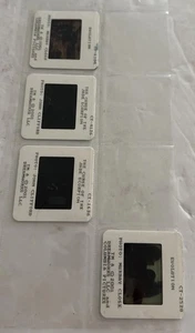 Four 2001  movie promo slides 2- Evolution 2- The Curse Of The Jade Scorpion - Picture 1 of 6