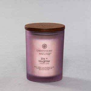 Chesapeake Bay Joy + Laughter Cranberry Dahlie Eindocht Glas Kerze, rosa - Bild 1 von 1