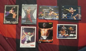 REY MYSTERIO (7) DIFERENTES CARTAS TOPPS/FLEER LUCHADOR POPULAR GRAN FORMA - Imagen 1 de 1