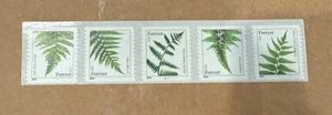 US 4973-4977 4977b Ferns Forever PNC5 Plate # Coil SSP 2014 date MNH - APS Life - Bild 1 von 1