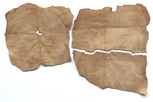 Indiana Jones Raiders Chachapoyan Map - Picture 1 of 2