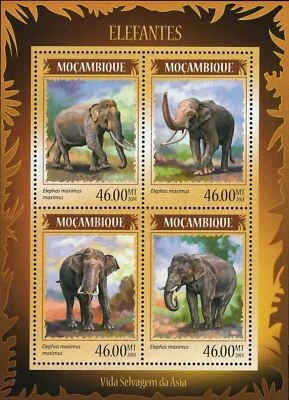 Hoja de recuerdo de sello de elefantes Elephas Maximus S/S MNH #7334 / Bl.906 Foto 1 de 4