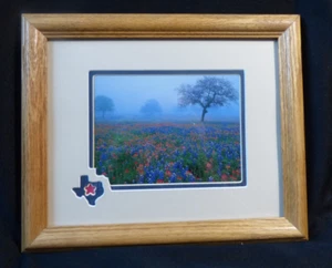 Wall Décor - Texas Wildflowers Photo - Framed 11-1/2" x 9-1/2" - NEW - Picture 1 of 1