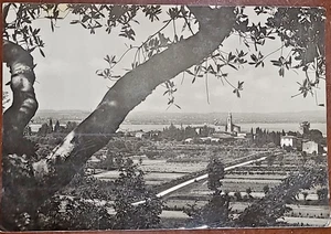 1966 PACENGO SUL LAGO DI GARDA - cartolina antica bn. viaggiata - Imagen 1 de 2