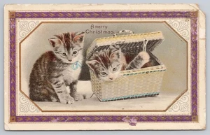 Buon Natale 2 gattini Tabby 1 in scatola cartolina natalizia - Foto 1 di 2