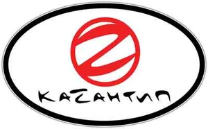 KaZantip Electronic Dance Music Kazantyp Oval Bumper Window Sticker Decal 6"X4" - Picture 1 of 1