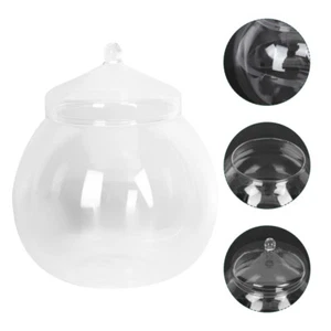 Glass Terrarium Bowl Succulent Glass Planters Terrarium Containers - Picture 1 of 12