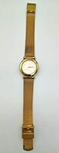 Skagen Denmark Stainless Steel Mesh Analog Dial Quartz Womens Wristwatch 107SGGD - Picture 1 of 8