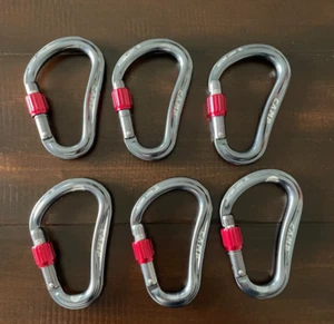 C.A.M.P. Atom Screw Lock Carabiners -  Set of 6 - Picture 1 of 1