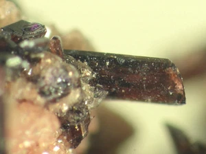 MANGANVESUVIANITE & HAUSMANITE from Kuruman, South Africa  * RARE *  1,6 cm - Picture 1 of 5