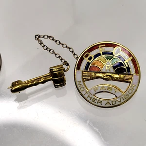 RARO De Colección 14K Oro Esmalte BFCL Arco Iris Niñas Masónico Pasado Madre Asesor Prendedor 3.6g - Imagen 1 de 6