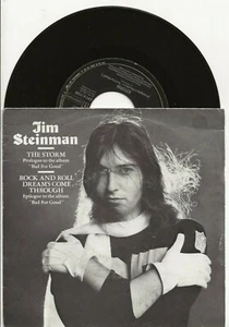 JIM STEINMAN THE STORM MEAT LOAF RARE NETHERLANDS PROMO SINGLE - Picture 1 of 2