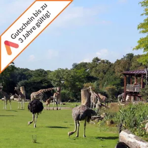 Kurzreise Atlanta Hotel Leipzig 2 Pers. 2 Tage / 1 Nacht Frühstück Zoobesuch - Bild 1 von 12