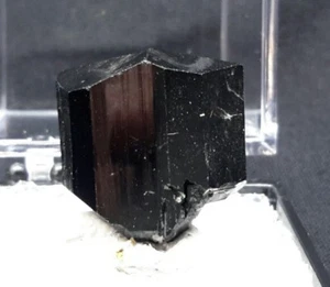 18mm BLACK TOURMALINE THUMBNAIL from Erongo Massif, Erongo Region, Namibia - Picture 1 of 4