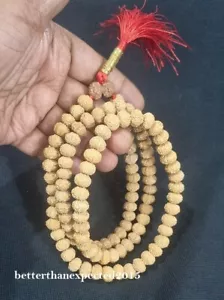 9 Mukhi Rudraksh + 8 Eight Face Rudraksha + Gauri Shankar Mala Rosary 109 Beads - Picture 1 of 3