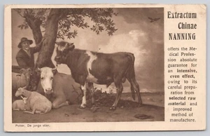 Werbung Tonic Dr. Nanning Potter Stier DB 1912 Postkarte Den Haag Grab - Bild 1 von 3