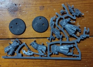Warhammer Quest Cursed City 2x Kosargi Nightguard - Picture 1 of 1