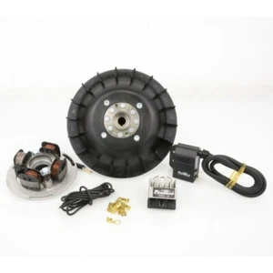 KIT ACCENSIONE ELETTRONICA PINASCO FLYTECH VOLANO 1,1 Kg VESPA PX 125 1983-1997 - Imagen 1 de 1