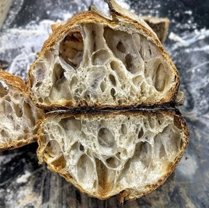 4500 year old Ancient Egyptian Sourdough Starter - Organic Dehydrated Culture - Picture 1 of 11