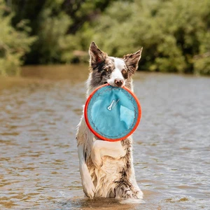 Paraflight Flying Disc Dog Toy - Durable, Water-Floating Flyer for Large Dogs - Picture 1 of 7