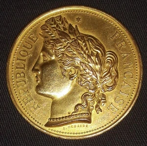 FRANCE Médaille Comice Agricole de StDié 1 er concours 1884 Cuivre 4 cm 30 gr - Foto 1 di 3
