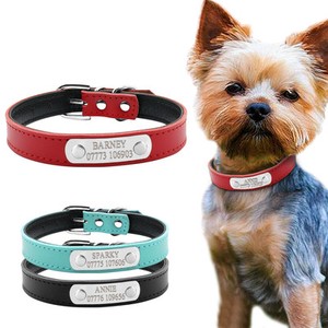 puppy collars ebay