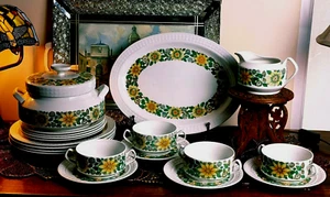 Vintage The Castilian Collection Pontesa ironstone Tureen 19 pieces Dinner Set - Picture 1 of 12