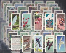 BROOKE BOND (TEA)-FULL SET- (CANADA) TROPICAL BIRDS (TOP LINE BLACK 48 CARDS)