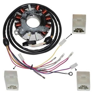 Polaris Hurricane-SL-SLH-SLTH Electrical Stator 2873022 4010172 4060120 4060176 - Bild 1 von 8