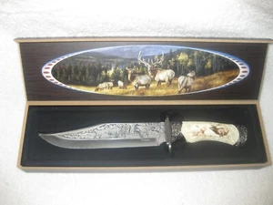 Wildmesser Sammlung: Hirsch mit Sammlervitrine - Bild 1 von 4