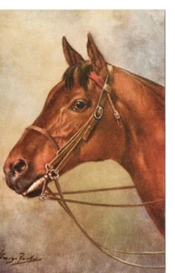 Postal original vintage - caballo - Imagen 1 de 2