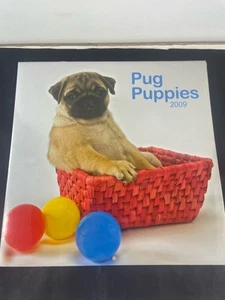 Mops Hund Kalender 2009 - Bild 1 von 4