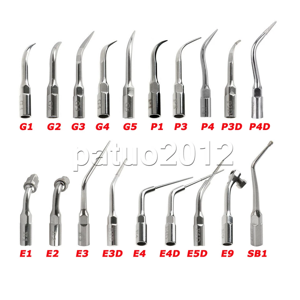 19 Type Dental Ultrasonic Scaler Scaling Endo Perio Tip Fit EMS Woodpecker G P E - Image 1 of 1