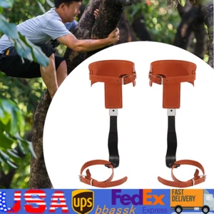 Tree Climbing Spike Set Adjustable Safety Belt Gloves Lanyard Rescue Belt 440lbs - Picture 1 of 12