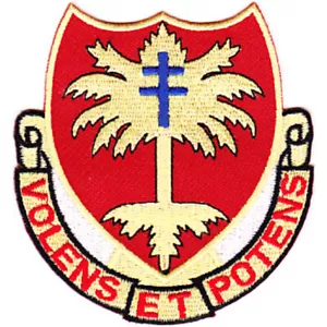 320th Airborne Field Artillery Battalion Patch - A Version - Bild 1 von 6