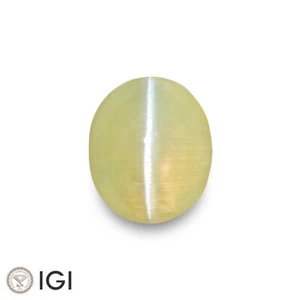 Ojo de gato crisoberilo ceilónico certificado IGI 2,13 quilates natural sin tratar ovalado - Imagen 1 de 8