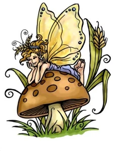 TRANSFER STAMPA MAGLIETTA T-SHIRT FATA FATINA SU FUNGO - Picture 1 of 1