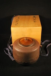 JAPANESE IRON TEA CEREMONY TETSUBIN TEA POT CHAGAMA w ORIGINAL STORAGE BOX - Picture 1 of 15
