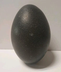 Emu Emerald Green Egg Shell Clean & Blown Hollow for Crafts/ Decorating 1 Hole - Picture 1 of 8