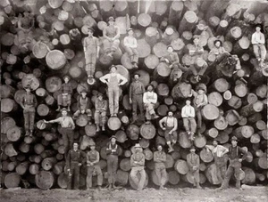 Vintage Fotos von Holzfällern, die große Bäume nur mit Handwerkzeugen fällten - Bild 1 von 1