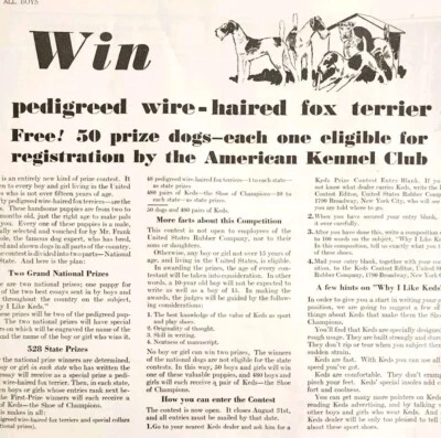 1930 Keds Sneakers Wire-Haired Fox Terrier Sneakers Advertisement AKC Dogs HM2H - Image 1 of 2