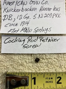 American Gun Knickerbocker, Hammerless, 12ga, DB, C.1914: Cock rod retain screw - Picture 1 of 2
