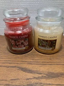 LOT OF 2 YANKEE CANDLE 14.5 OZ JARS-NEW  RETIRED no longer available - Picture 1 of 11